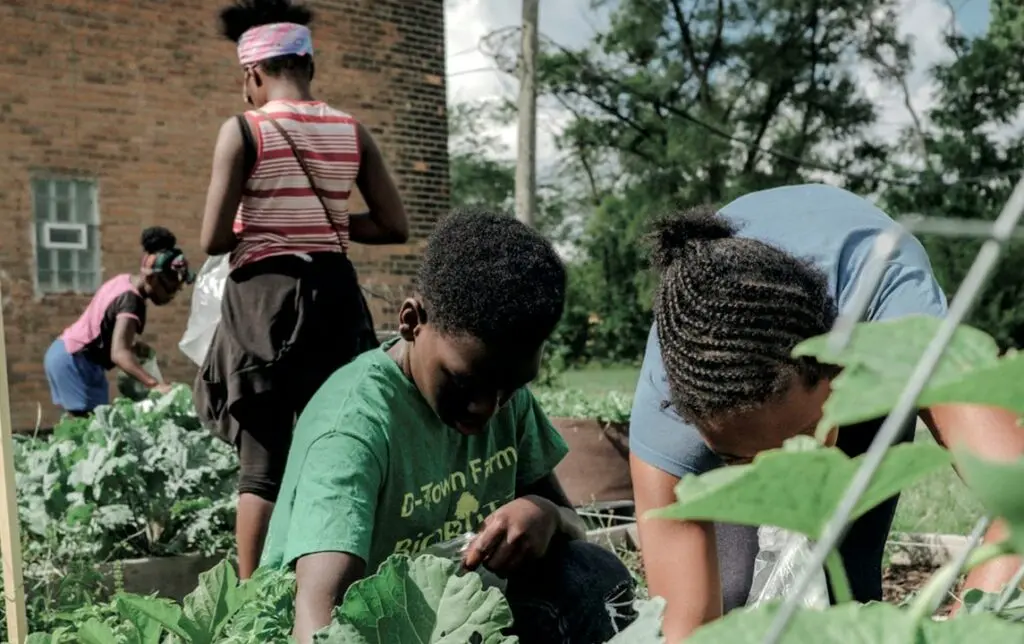 Multiple children harvesting food among leaves