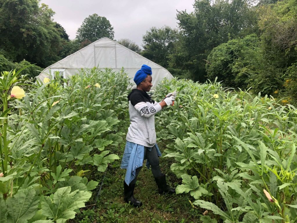 Woman walking through the farm.