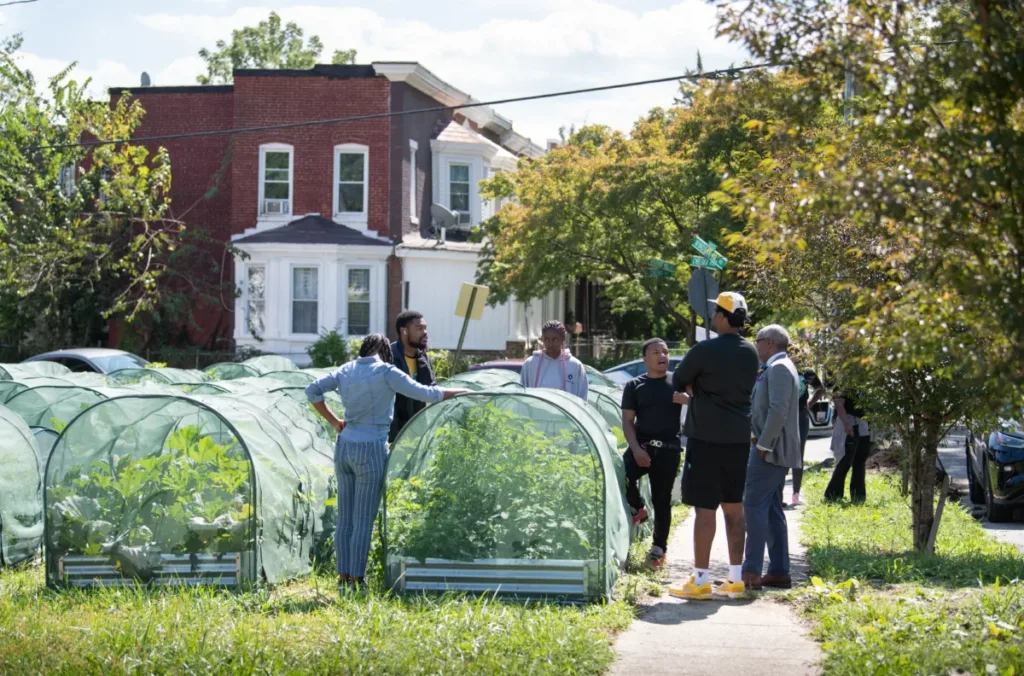 A group of people chat in a community garden